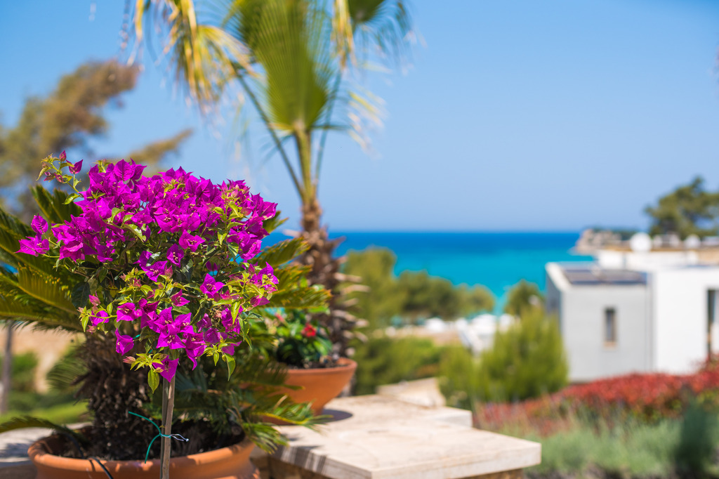 Executive Villa Emmanouela, Private Villa in Sani Club, Kassandra, Chalkidiki, Greece, 0012