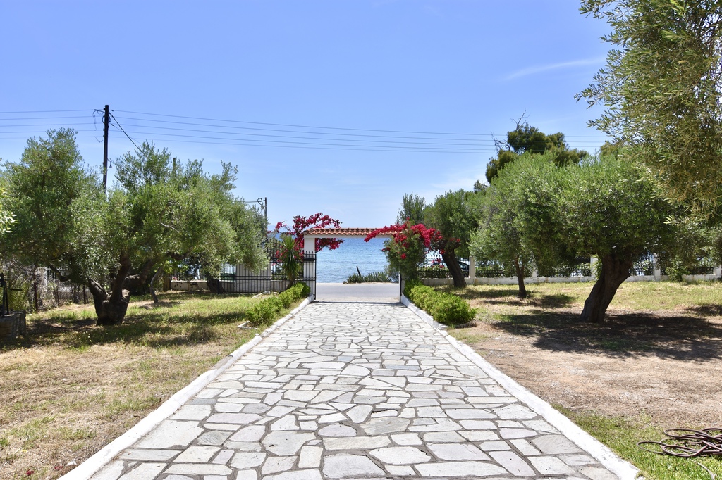 La Casa Del Olivo, Villa4you, Akti Elias, Sithonia, Halkidiki, Greece, 01