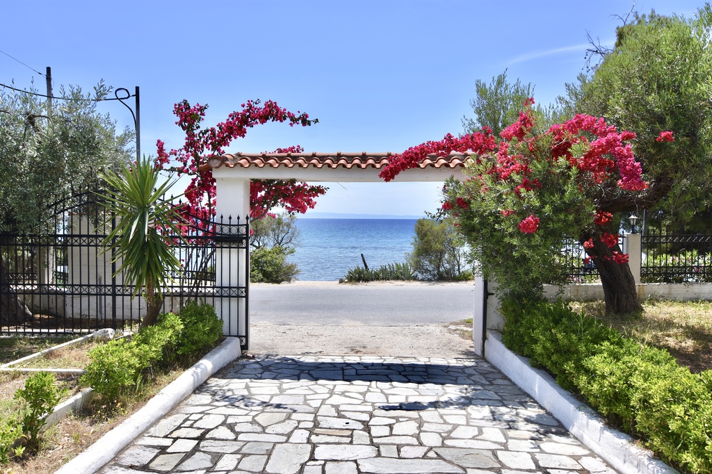La Casa Del Olivo, Villa4you, Akti Elias, Sithonia, Halkidiki, Greece, 02