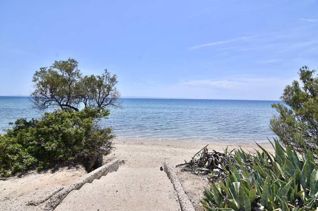La Casa Del Olivo, Villa4you, Akti Elias, Sithonia, Halkidiki, Greece, 03