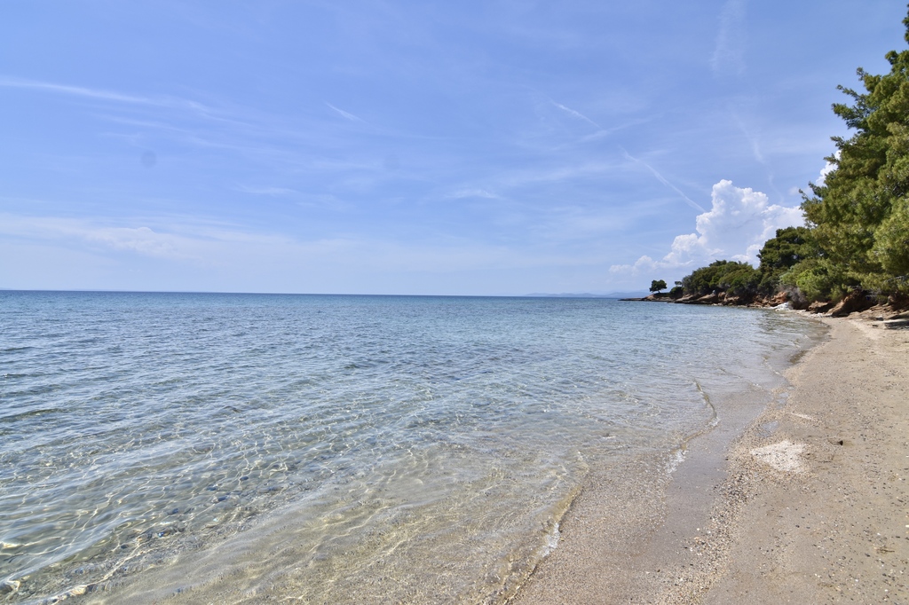 La Casa Del Olivo, Villa4you, Akti Elias, Sithonia, Halkidiki, Greece, 04
