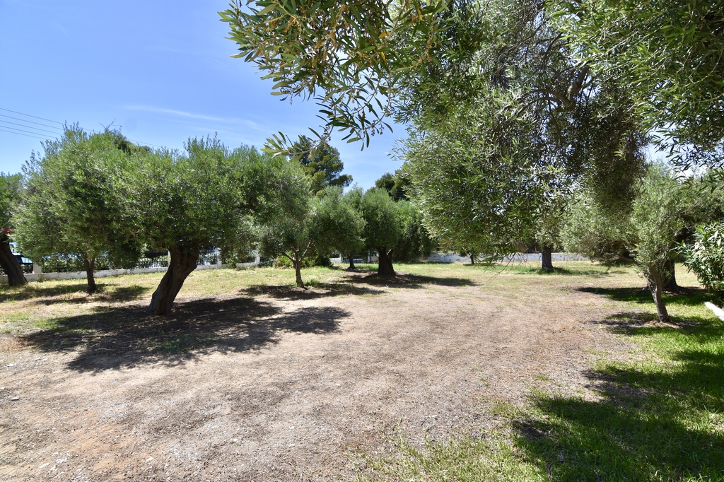 La Casa Del Olivo, Villa4you, Akti Elias, Sithonia, Halkidiki, Greece, 09