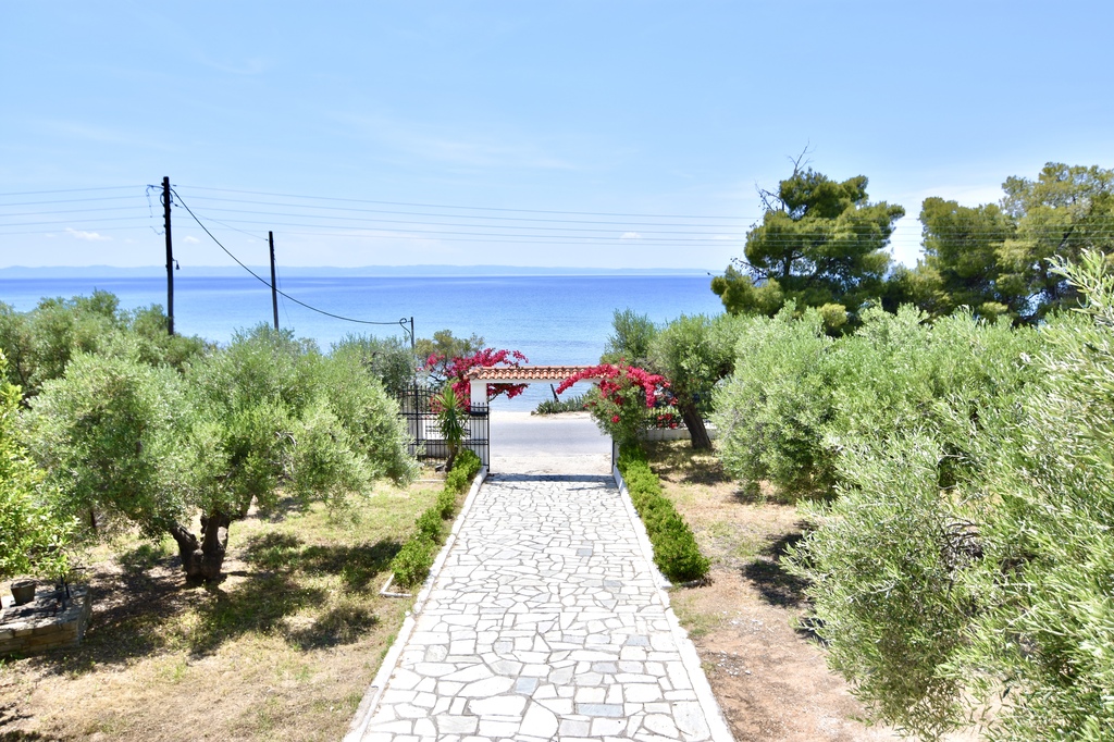 La Casa Del Olivo, Villa4you, Akti Elias, Sithonia, Halkidiki, Greece, 16