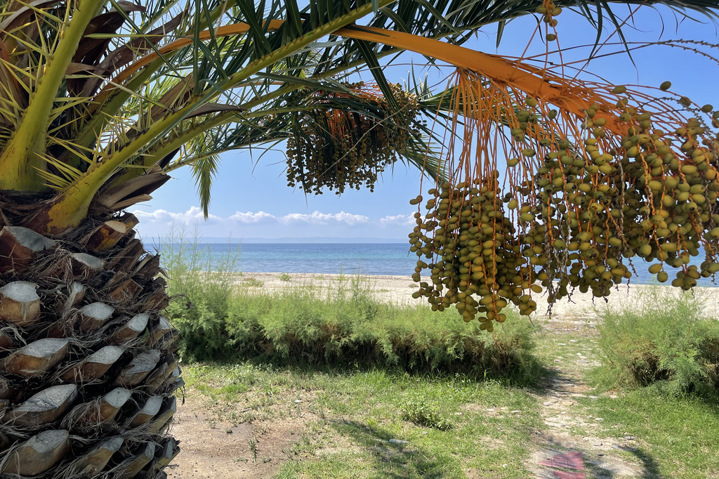 Tripotamos (1), Beachfront Villas Complex, Neos Marmaras, Sithonia, Chalkidiki, Greece, 12