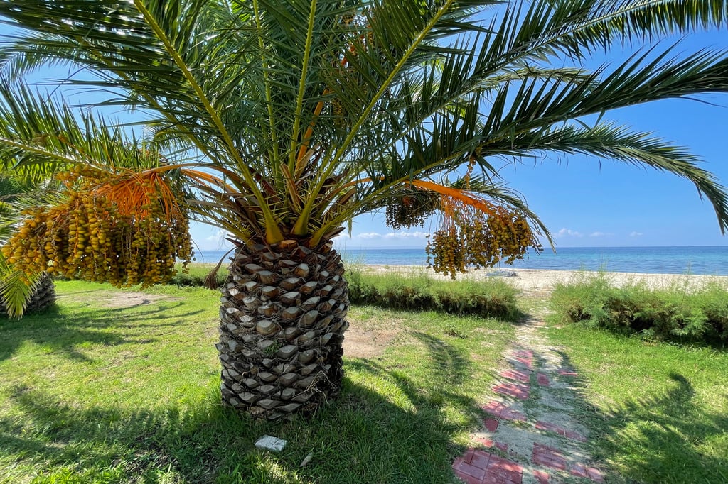 Tripotamos (1), Beachfront Villas Complex, Neos Marmaras, Sithonia, Chalkidiki, Greece, 15