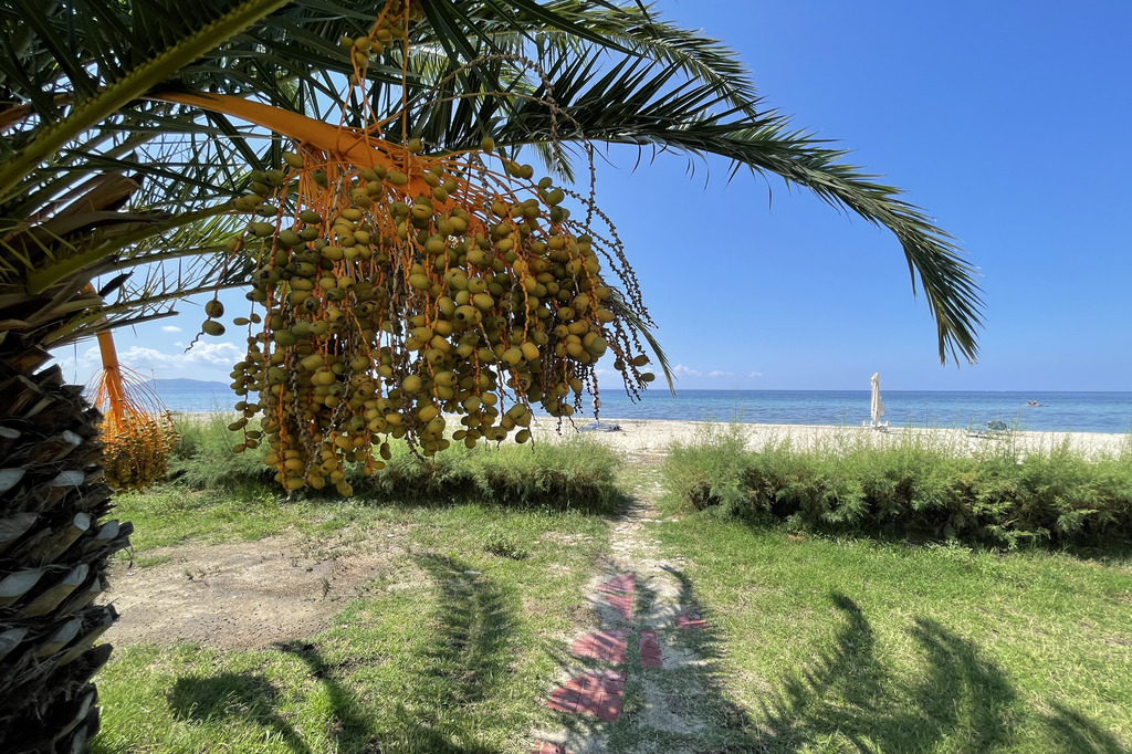 Tripotamos (1), Beachfront Villas Complex, Neos Marmaras, Sithonia, Chalkidiki, Greece, 8