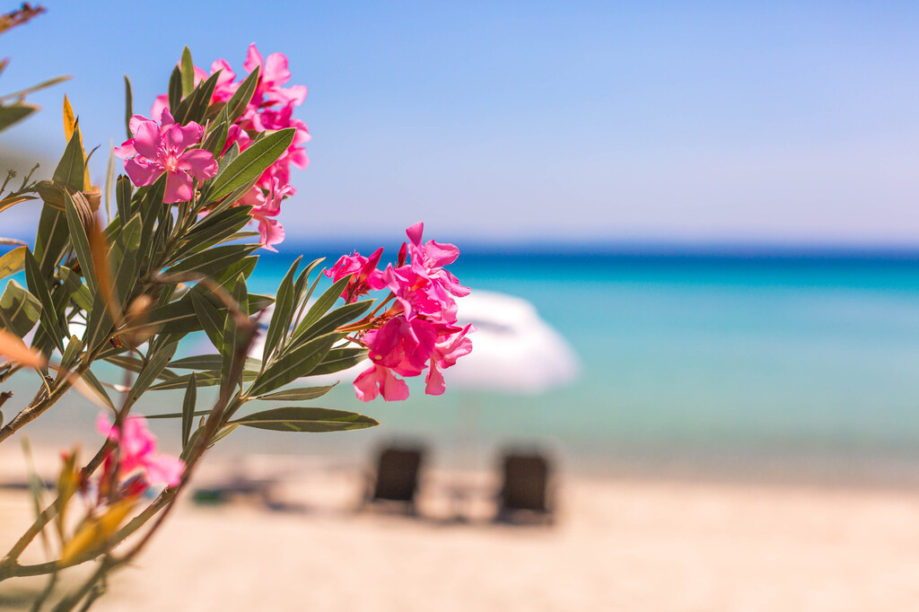Villa AquaMarina, Sithonia, Chalkidiki, 65