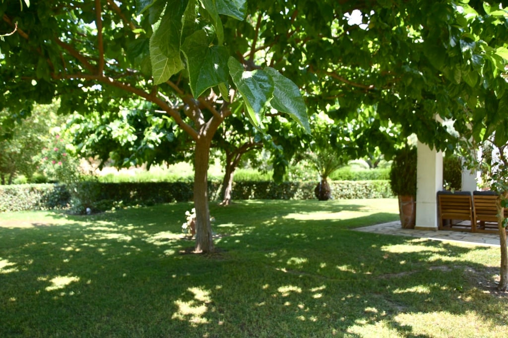 Villa Sandy, Villa4you, Agia Kiriaki, Simonitiko, Neos Marmaras, Sithonia, Halkidiki, Greece, 10