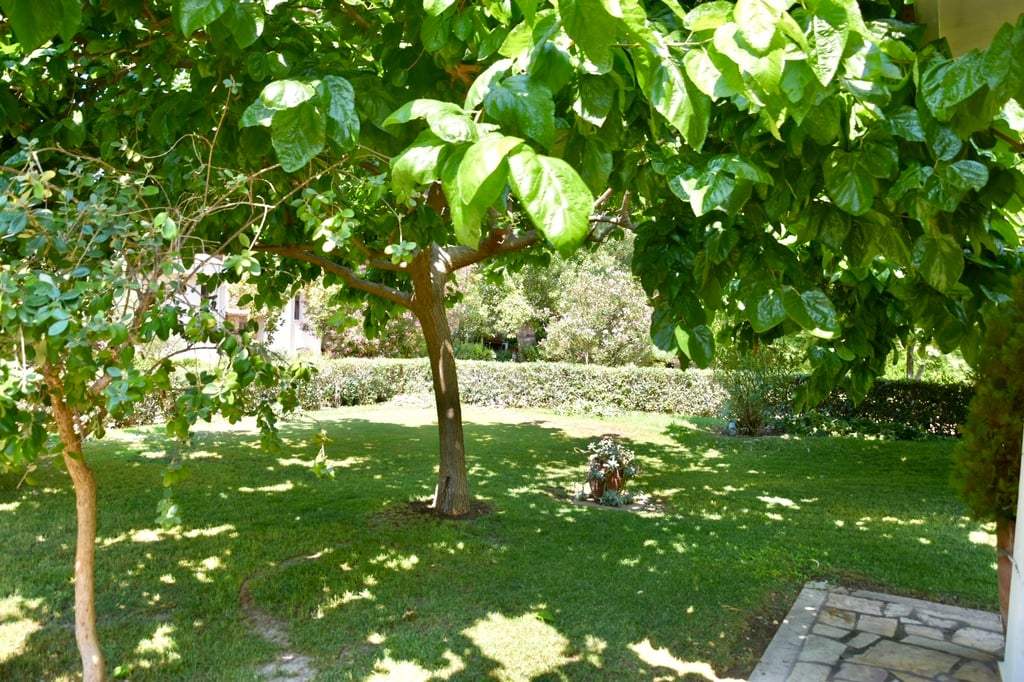 Villa Sandy, Villa4you, Agia Kiriaki, Simonitiko, Neos Marmaras, Sithonia, Halkidiki, Greece, 16