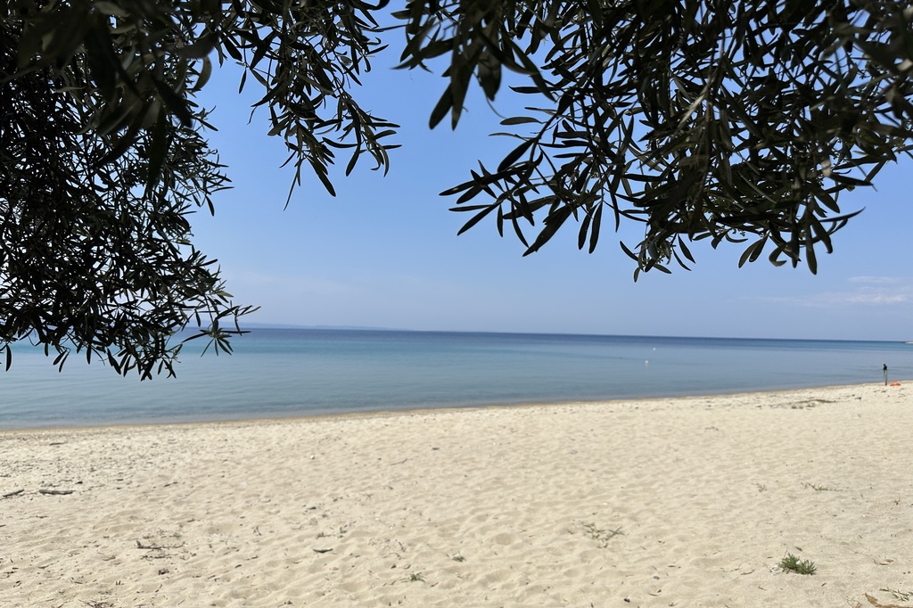 Villa Silvia, Villa4you, Tripotamos, Sithonia, Halkidiki, Greece, 05