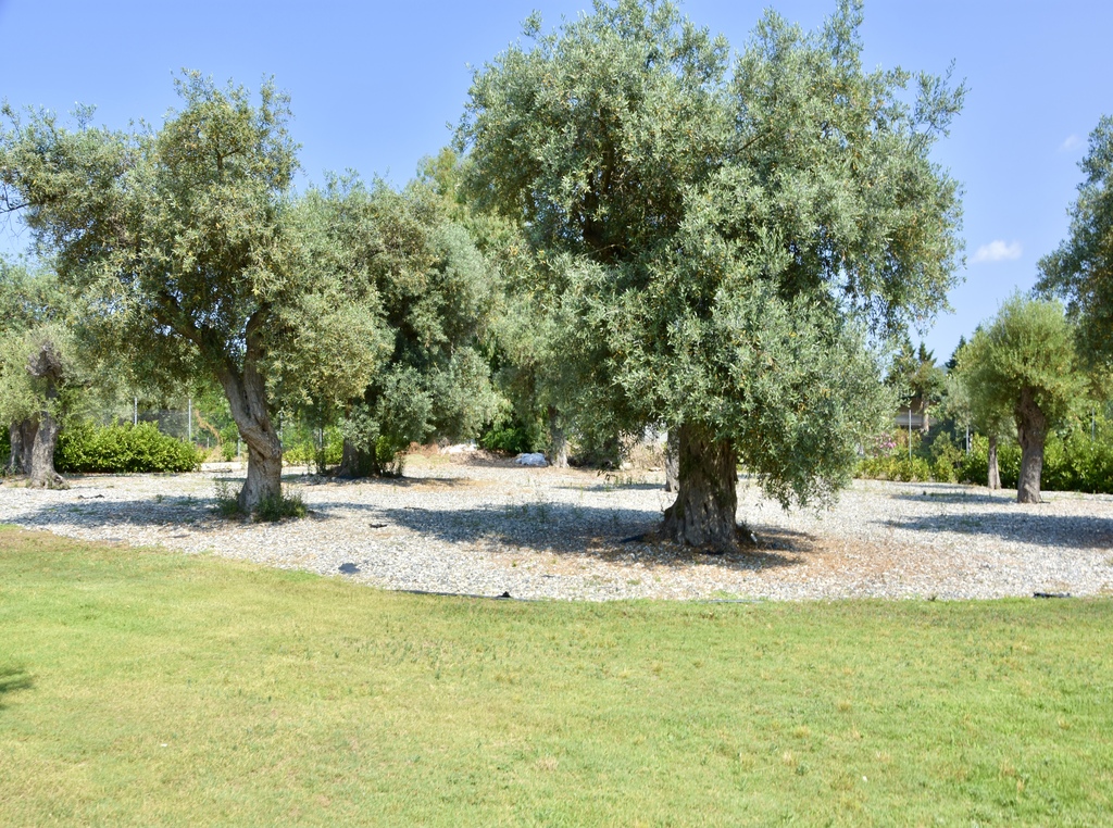Villa4you, Villa Omada, Vourvourou, Sithonia, Halkidiki, Greece, 12