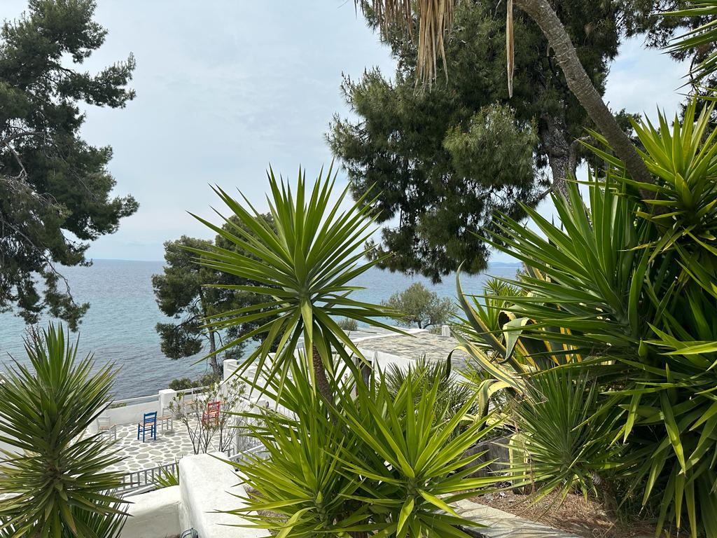 Villa4you.gr, Beachfront Apartment Aspa, Akti Elias, Sithonia, Halkidiki, Greece, 001