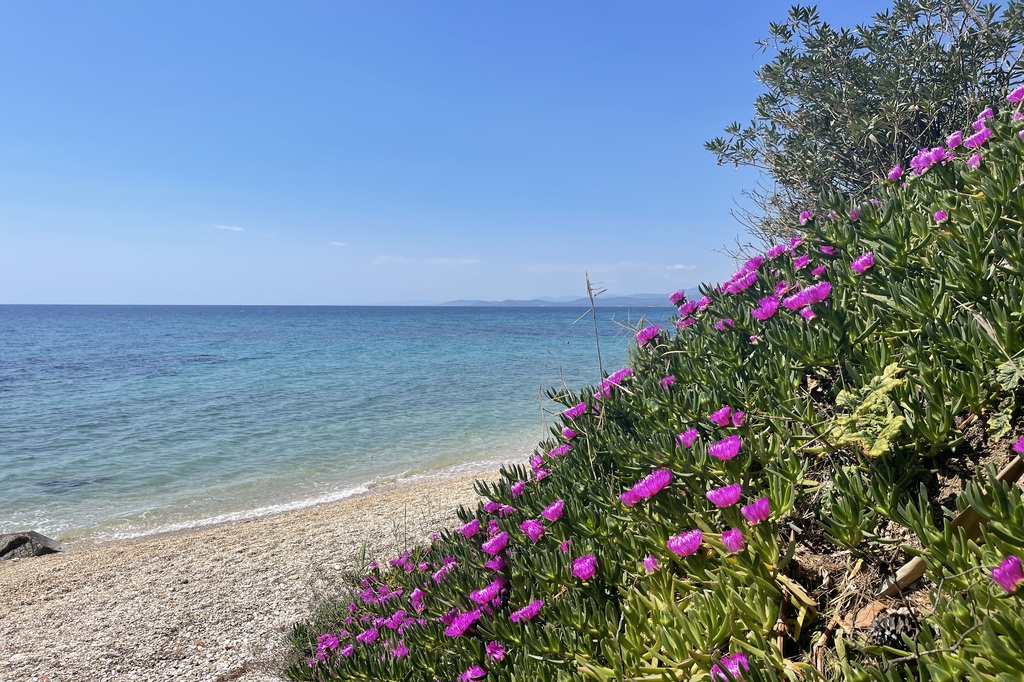 Villa4you.gr, Sea View Apartment Anastasia, Akti Elias, Sithonia, Halkidiki, Greece, 04