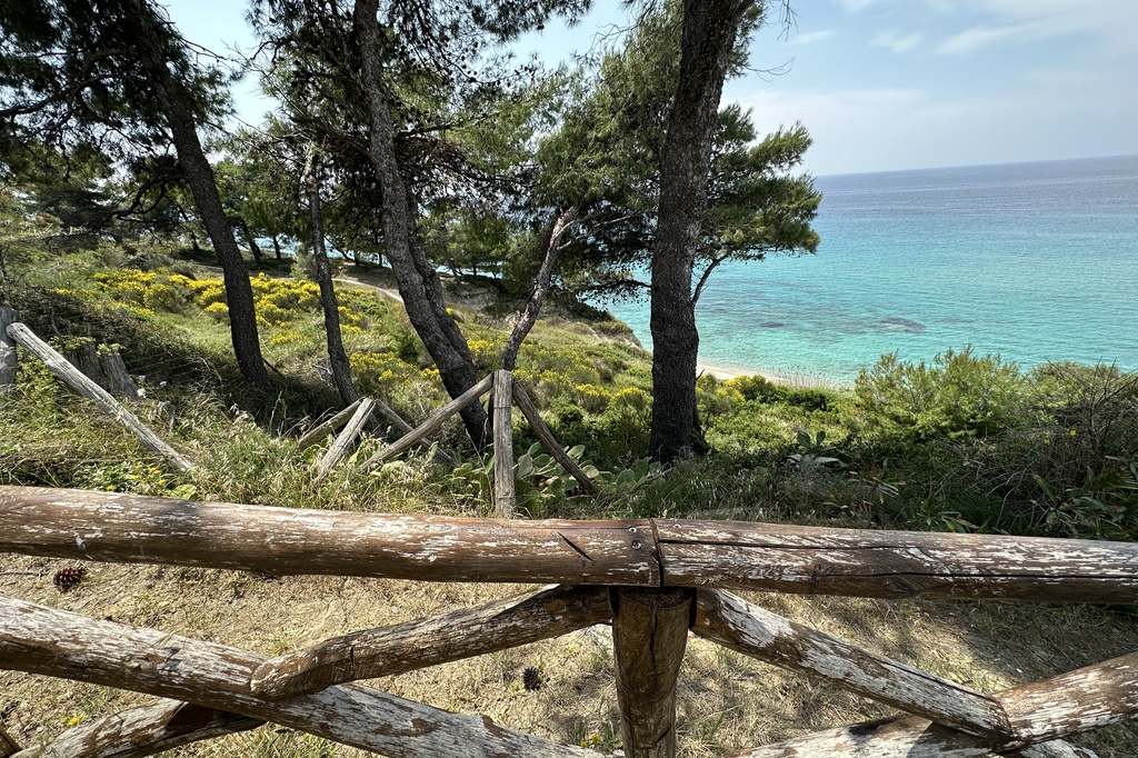 Villa4you.gr, Villa White Beauty, Fourka, Kassandra, Halkidiki, Greece, 030