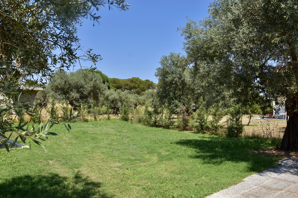 Karidi Harmony Apartment C, Vourvourou, Sithonia, Halkidiki, Greece, 08