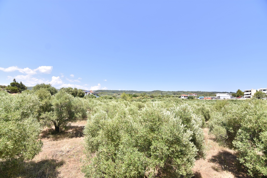 Luxury Villa Calma, Villa4you, Nikiti, Sithonia, Halkidiki, Greece, 21